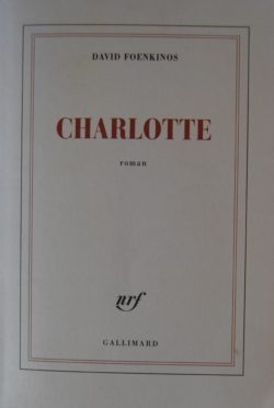 Dans la tête de Charlotte Salomon par David Foenkinos - L'infoRmateur de  Bourgogne