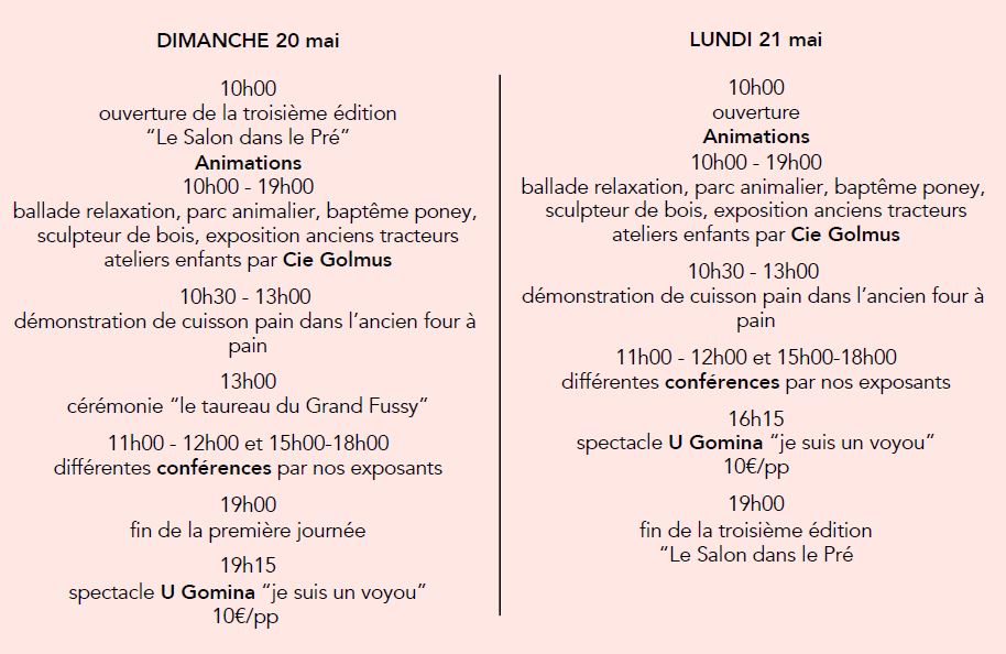 Dans la tête de Charlotte Salomon par David Foenkinos - L'infoRmateur de  Bourgogne