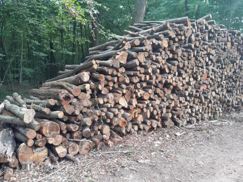 Entre Saint-Eusèbe et Blanzy - Environ 50 stères de bois de chauffage  disparaissent - L'infoRmateur de Bourgogne
